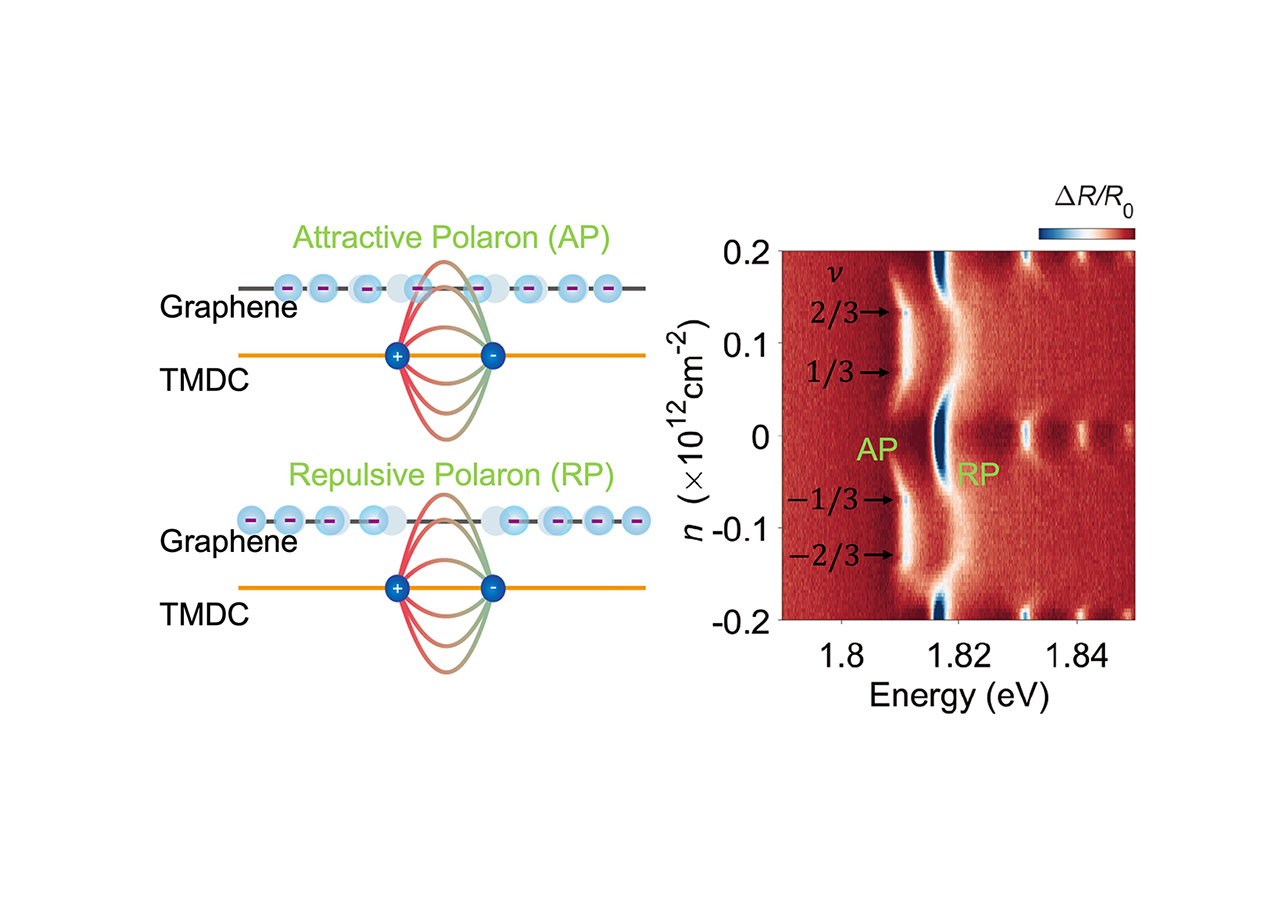Huiying's paper on interlayer Fermi polaron is published in Nano Letters! Congrats!